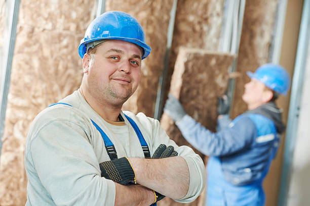 Best Best Insulation Companies  in Goodyear, AZ